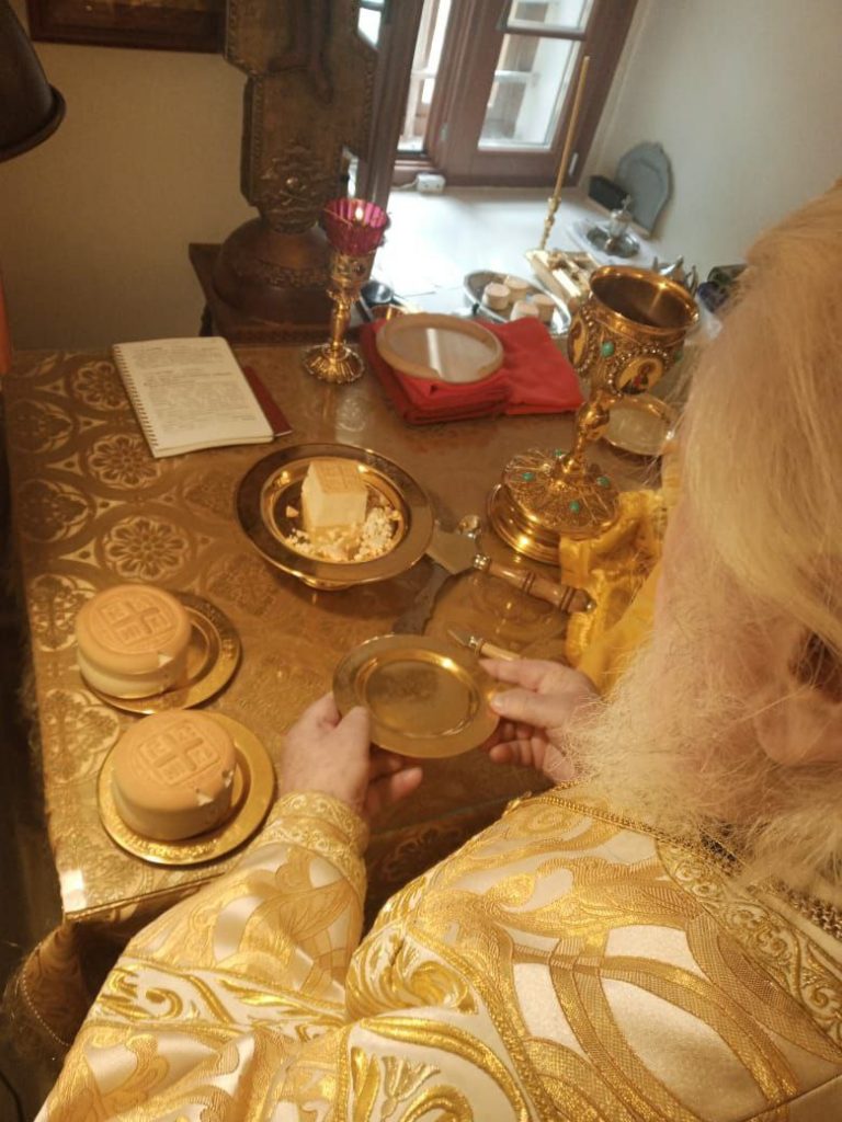 photo_5445264485850938506_y