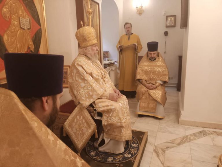 photo_5445264485850938510_y